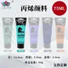 Set de Pintura Acrílica Personalizado de 75 ml, Impermeable y que no se decolora, Adecuado para Pintura DIY en Estudio, Se puede imprimir con logotipo