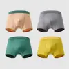 Cueca Boxer Dingmi Urso 100% Algodão Série de Cores Morandi, Classe A, Versátil, Não Aperta, Respirável, Absorvente de Suor, Antibacteriana, Macia e Amiga da Pele