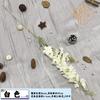 Flor artificial de delphinium de dois dentes, decoração para casa, casamento, salão de casamento de alta qualidade, decoração para casamento
