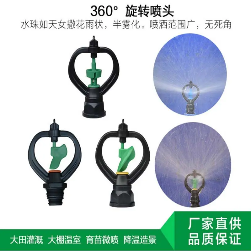 绿叶蝶形