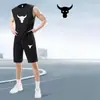 Conjunto de Duas Peças Masculino para Corrida de Secagem Rápida, Regata Sem Mangas, Roupa para Treinamento Físico, Camisa de Basquete, Regata de Verão com Shorts, Em Estoque