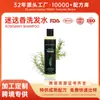 Shampoo de Alecrim Transfronteiriço Óleo para Crescimento Capilar Controle de Oleosidade Anticaspa Shampoo Fofo Shampoo de Alecrim