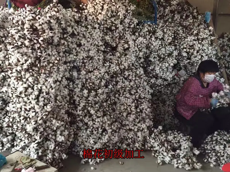 未标题-10副本