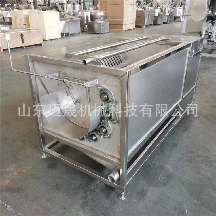 1200型毛辊清洗机 (16)