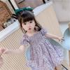 Vestido de Verão Manga Curta para Meninas Bebê Celebridade da Internet Marca Moderna Infantil Coreano Floral Plissado Chiffon Vestido Princesa Bebê