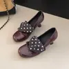 Sapatos Mary Jane Elegantes e Doces com Bolinhas de Seda para Mulheres 2026 Estilo Retrô Primavera Novos Sapatos de Salto Grosso de Bico Baixo