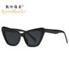 Nuevas gafas de sol de ojo de gato personalizadas 9170, gafas de sol para mujer que combinan con todo, gafas de sol sencillas transfronterizas, para tiro callejero europeo y americano