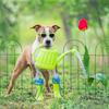 Cerca dobrável de fronteira cruzada, cerca de metal para jardim, cerca para pátio, barreira para animais de estimação, cerca para jardim