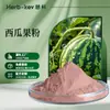 Polvo de Fruta de Sandía 10:1, Fabricante Shaanxi Huike, Suministro en Stock, Envío Gratis, Polvo de Sandía Soluble en Agua, Grado Alimenticio