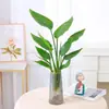 Planta de Ave del Paraíso Hidropónica en Maceta para Escritorio, Estilo Nórdico, Planta de Interior Perenne, Hojas Grandes, Cultivada en Agua, Tolera la Sombra, para Sala de Estar