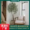 Planta Verde Artificial Falsa 2.8 m Árbol de Olivo Decoración Interior y Exterior Árbol de Olivo de Comercio Exterior