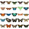 Venta al por mayor transfronteriza de Amazon mariposa vintage 54 lindas pegatinas de diario de insectos de dibujos animados equipaje diario