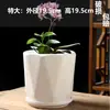 Maceta Grande de Cerámica con Bandeja para Uso Doméstico, Diseño Creativo y Único para Plantas Verdes, Chlorophytum y Suculentas