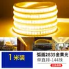 Tira de Luces LED Super Brillante 180 LEDs Cinco Filas Exterior Impermeable Ingeniería 220V Techo Hogar Pared de Fondo Tira de Luz Suave