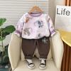 Conjunto de Otoño de Moda para Niños 2025 Nuevo Otoño Elegante Sudadera de Manga Larga con Dinosaurio Conjunto para Bebés Niños 1974 Moderno