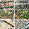 Arame de Aço Plástico, Arame de Aço Revestido de Plástico, Acessórios para Estufas, Treliça para Uvas, Cama de Rede para Cultivo de Maracujá, Arame de Tensão, Corda de Suporte para Cortina