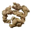 Ginseng de Bambú, Ginseng de Hueso de Dragón, Ginseng Rey, Yunnan