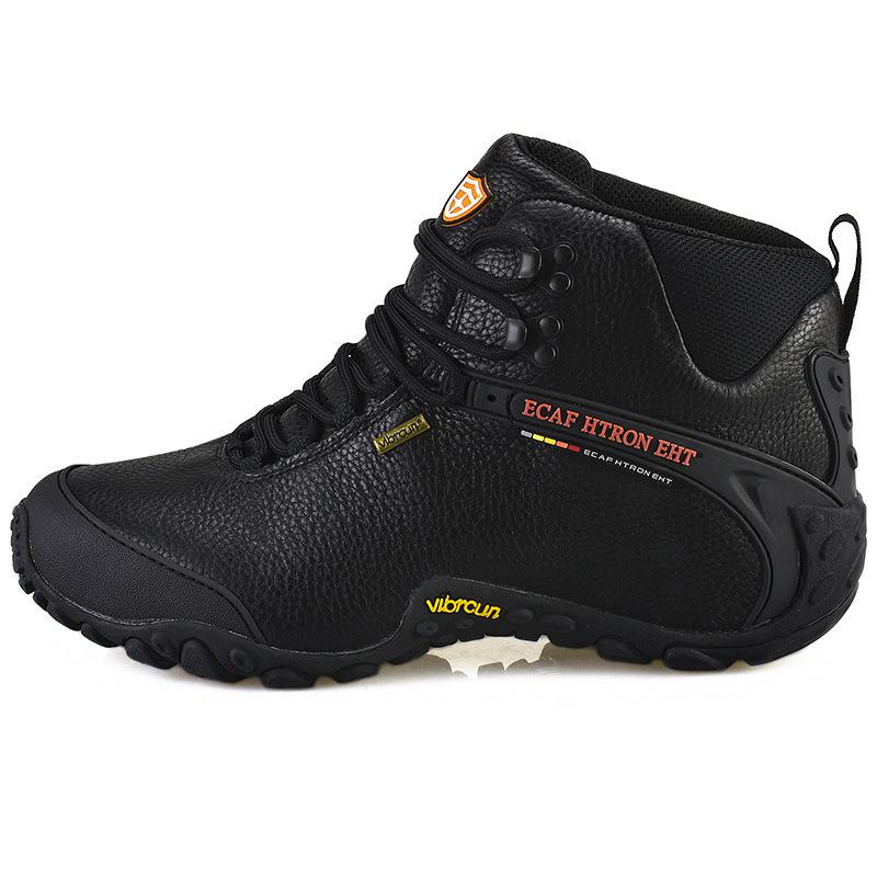 一键复制_20221222110419