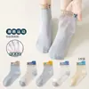 Calcetines para Niños Niños Algodón Puro Calcetines de Media Pantorrilla Primavera y Otoño Nuevos Dibujos Animados Dinosaurio Niños Niños Medianos y Grandes Calcetines para Niños Sin Costuras
