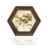 Pintura Decorativa para Comedor de Restaurante Americano, Pintura Colgante para Vestíbulo de Entrada, Pintura para Pared de Fondo de Sala de Estar Estilo Europeo, Mural Hexagonal de Flores y Pájaros