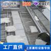 Equipo de clasificación y empanizado de pulpa de lichi de Zhejiang tecnología de procesamiento de pulpa crujiente de lichi clasificación y empanizado línea de producción frita
