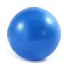 Pelota Pequeña de Yoga Pilates 25CM Pelota de Equilibrio Fitness Mini para Adulto Niño Mujer Embarazada Postparto Músculos del Suelo Pélvico