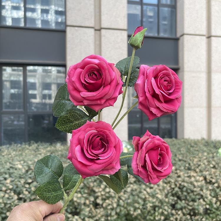 5头宝宝玫瑰-sxlljx-玫红.JPG