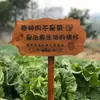 Estaca de Madera Maciza para Huerto Señal de Poste Zona de Plantación Escolar de Verduras Día del Árbol Placa Colgante de Adopción Impermeable Exterior Personalizable
