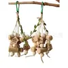 Juguetes para Loros, Juguetes para Pájaros, Fruta de Carambola de Corcho, Juguetes para Masticar de Entretenimiento Propio para Aliviar el Aburrimiento para Cacatúas, Periquitos y Cacatuas, Transfronterizo