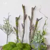 Ornatos Decorativos de Combinação de Galhos e Flores Secas para Paisagismo de Chão, Plantas Verdes para Decoração de Chão de Sala de Estar