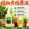 Amarillamiento Original Líquido Vegetal Melón Fruta Suplemento Nutrición Tomate Mejorar Calidad Árbol Frutal Plántula Fuerte Amarillamiento Original Polvo Fertilizante Foliar
