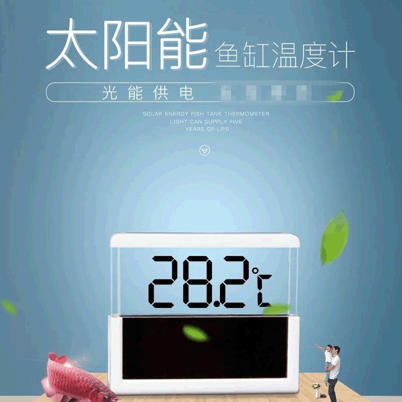 O1CN01Pux1RM1vXrVBEkIlE_!!0-it