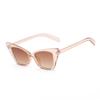 Óculos de Sol Cat-Eye da Moda Europeia e Americana de Rain Óculos de Sol Cat-Eye da Moda Europeia e Americana de Rain Fotografia de Rua Transfronteiriça Passarela Lentes Retrô