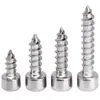 Tornillos Autorroscantes Ha de Acero Inoxidable 304 Cabeza Cilíndrica Hexagonal Tornillos Autorroscantes de Cabeza de Copa Tornillos Autorroscantes para Audio M3 M4M5M6