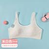 Li Daimei 2023 primavera y verano nueva ropa interior de desarrollo para niñas sujetador de malla transpirable ropa interior para estudiantes de secundaria