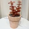 Simulación de plantas carnosas decorativas para el hogar, arreglos de mesa, pequeños adornos, plantas carnosas en maceta, suministro transfronterizo, flores de simulación
