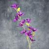 Nueva Flor Artificial Orquídea Viento y Lluvia Boda Arreglo Floral para el Hogar Diseño de Habitación de Boda Flor Falsa Accesorios de Fotografía Flor de Seda Venta al por Mayor