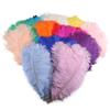 Directo de fábrica 35-40 cm pluma de avestruz actuación en escenario color pluma grande diy decoración de boda flor avestruz
