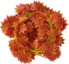 Decoración de Otoño Transfronteriza Hoja de Arce Ratán Acción de Gracias Hoja de Arce Simulada Ratán Decoración de Boda Plantas de Vid Simuladas