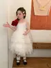 Vestido de Princesa para Niña 26 Verano Nuevo Vestido de Tirantes sin Mangas de Tul para Niños Vestido Versátil con Vuelo para Niñas Moderno