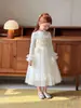 Vestido de Princesa Infantil de Manga Longa, Vestido de Tule com Babados Florais para Meninas, Vestuário Infantil de Comércio Exterior Transfronteiriço