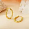 Pendientes de Otoño e Invierno 2024 Moda Elegantes Estéreo de Gama Alta Hebilla de Oreja Hilo Retorcido Anillo Liso Acero de Titanio Femenino con Estilo