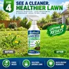 KineShineX Spray Controle de Ervas Daninhas para Gramado Ação na Raiz Inibe a Regeneração de Ervas Daninhas de Folha Larga Spray Matador de Ervas Daninhas para Gramado