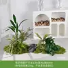 Musgo Sintético Decoración Suave para Interiores Conjunto de Micro Paisaje Combinación Exhibición en Ventana Pasillo Musgo Artificial Plantas Verdes Arreglo de Paisajismo Decoración