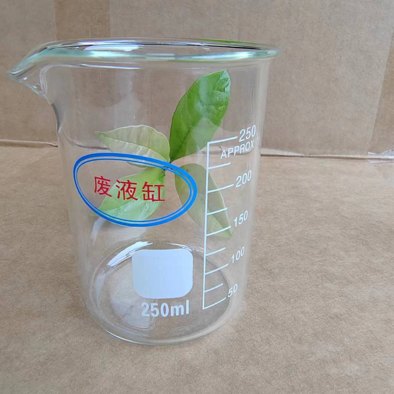 22a82ef3-2744-4427-af4d-31e4b2