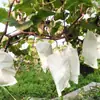 Bolsa Especial para Racimos de Uva Cubierta a Prueba de Pájaros e Insectos Techo Artefacto Patio Bolsa para Uvas Bolsa de Malla de Nylon Transparente Transpirable