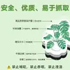 20 Peças de Ímãs de Geladeira de Plantas Verdes Magnéticas Macias, Pequenas Plantas Frescas em Vasos, Adesivos Magnéticos Decorativos Exquisitos para Armário de Arquivos de Computador DIY