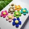 Acessórios de acrílico para flores coloridas de verão, acessórios para cabelo, grampo grande, anel de cabelo, joias diy, acessórios de cola em creme, decoração