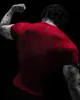 Breathedivinity Marca Americana de Moda Estilo Oscuro Ropa Deportiva Fitness Camiseta para Hombre Elástico de Secado Rápido