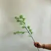 Plantas e Flores Artificiais Verdes Transfronteiriças, Cenário de Arranjo de Flores Artificiais, Grama de Mil Camadas, Pinheiro Nevoeiro, Arranjo de Flores Artificiais para Casa e Plantas para Paisagismo